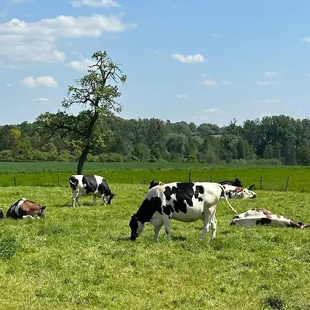 Vakantiewoning Hoogveld