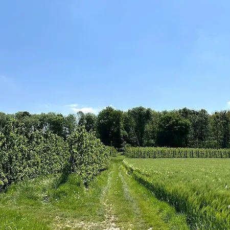 Vakantiewoning Hoogveld Kortessem