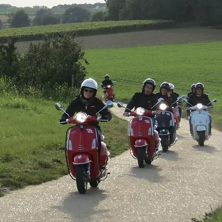 Vakantiewoning Hoogveld * Kortessem