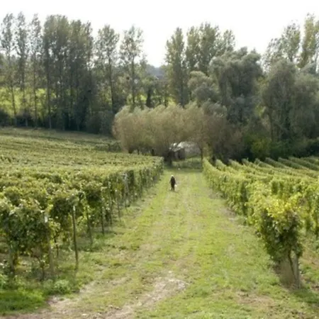 Vakantiewoning Hoogveld *